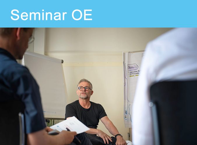 Seminar Handlungsfelder in der Organisationsentwicklung