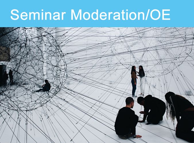  Seminar Konfliktmanagement in Entwicklungsprozessen